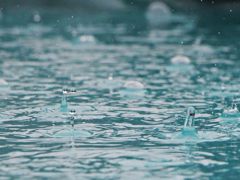 How to Protect Your Skin From Acid Rain – GABI+SKIN™